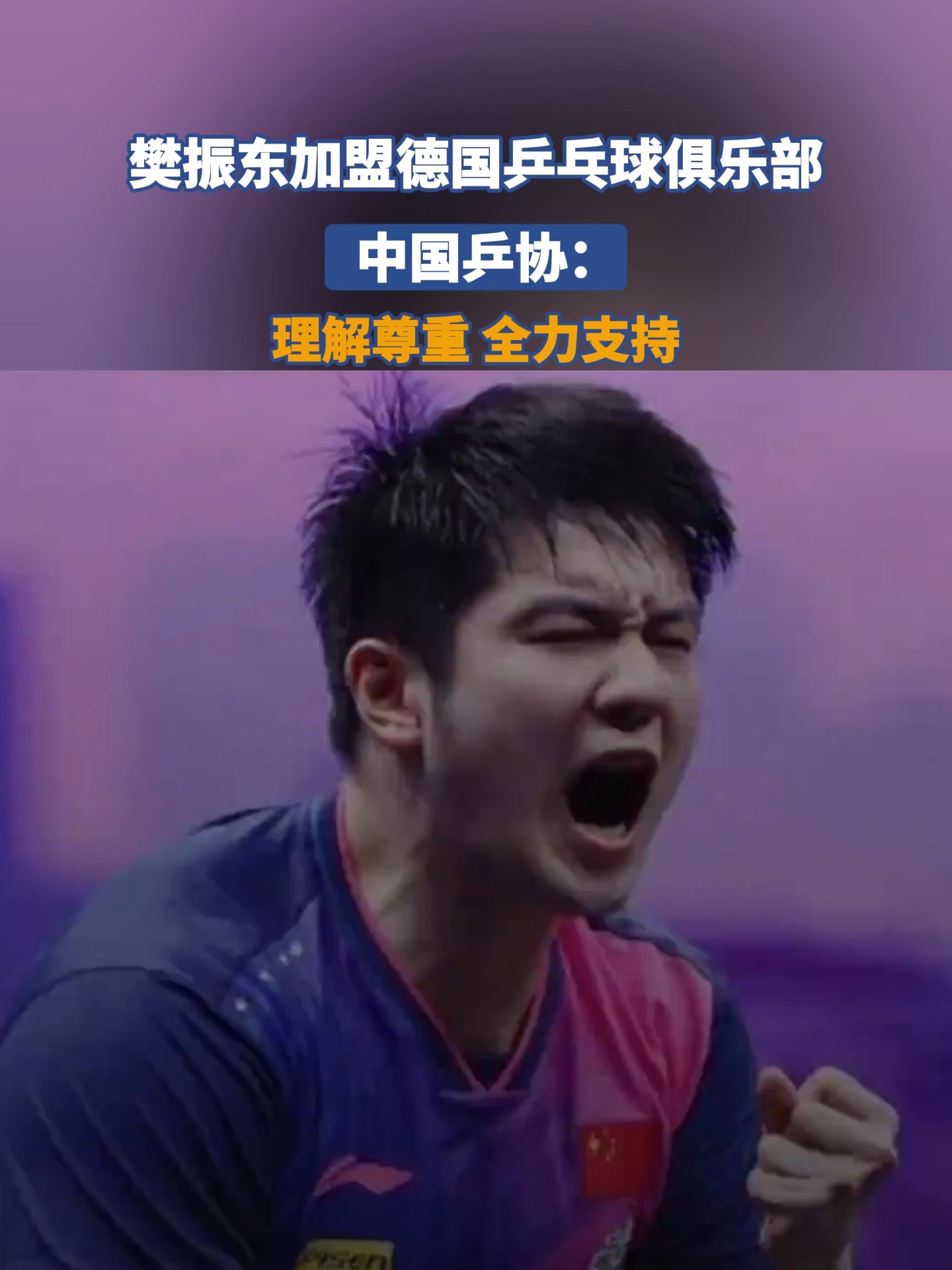 关于波兰乒乓球队轻取德国乒乓球队,樊振东打破历史纪录的信息 关于波兰乒乓球队轻取德国乒乓球队,樊振东打破历史纪录的信息