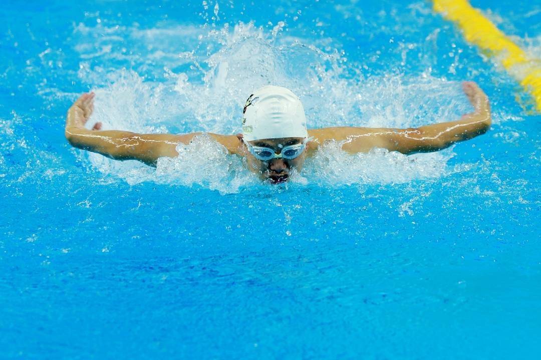 游泳赛事精彩瞬间盘点,年度回顾震撼登场的简单介绍 游泳赛事精彩瞬间盘点,年度回顾震撼登场的简单介绍