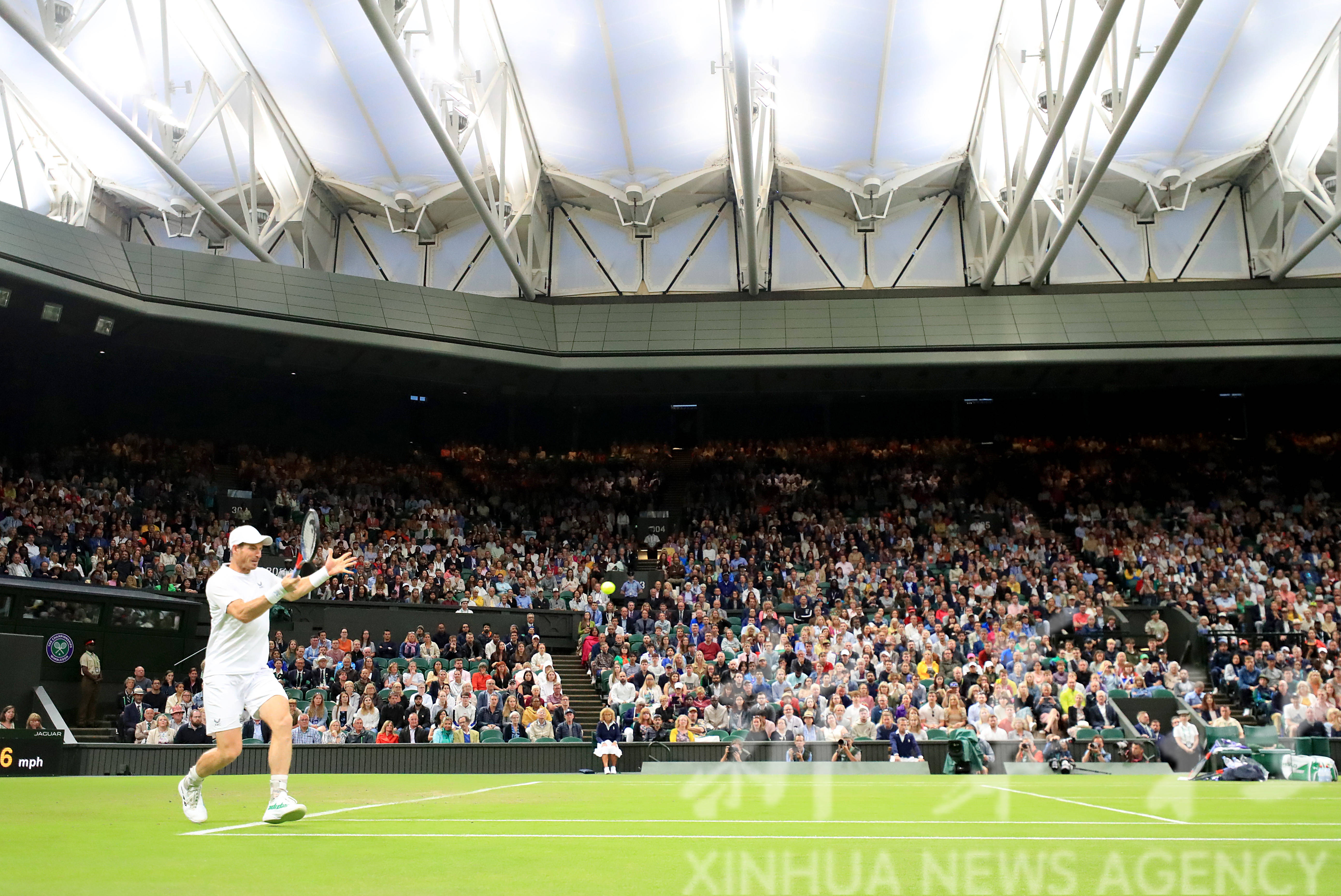 法网横扫温网,穆雷高光表现 法网横扫温网,穆雷高光表现