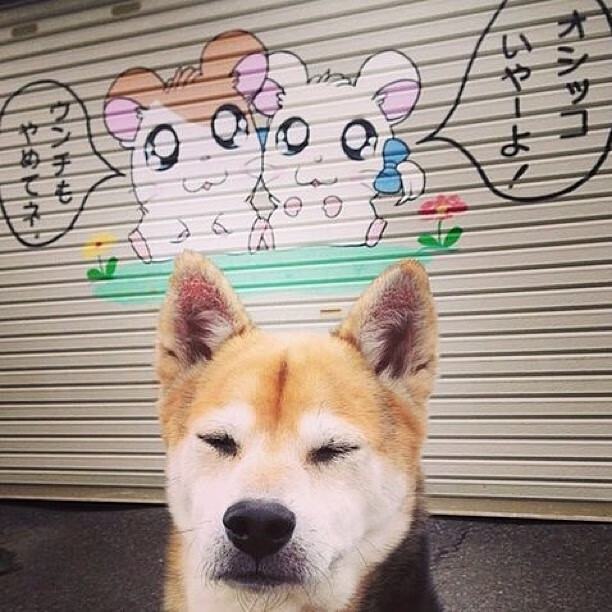 布伦森生涯夜轰48分，雄鹿破绿军不败金身