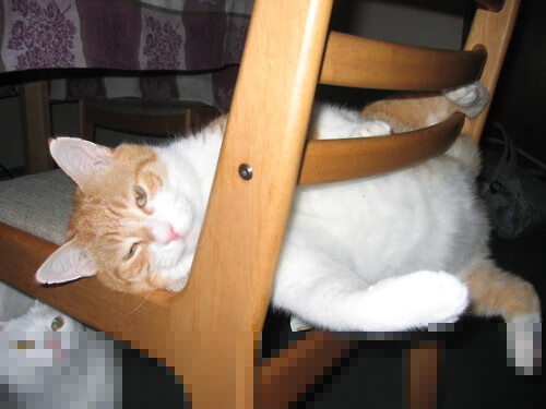 后脚横扫巴西，前脚接管街道，南美体育的红色狂飙日