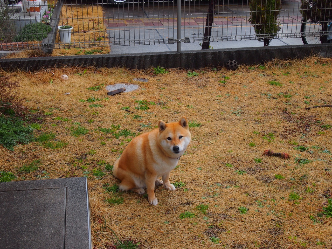 拉梅洛的终极掌控，英超争冠之夜，一球定江山
