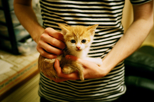 当英格拉姆爆发，广厦队如何在中国赛场粉碎独行侠？