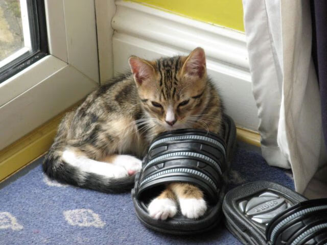 奥利维耶一捅破叹息之墙，中国足球今夜扬眉剑出鞘