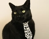 新王当立！活塞火力全开碾压勇士，拉梅洛·鲍尔在焦点战完成自我正名