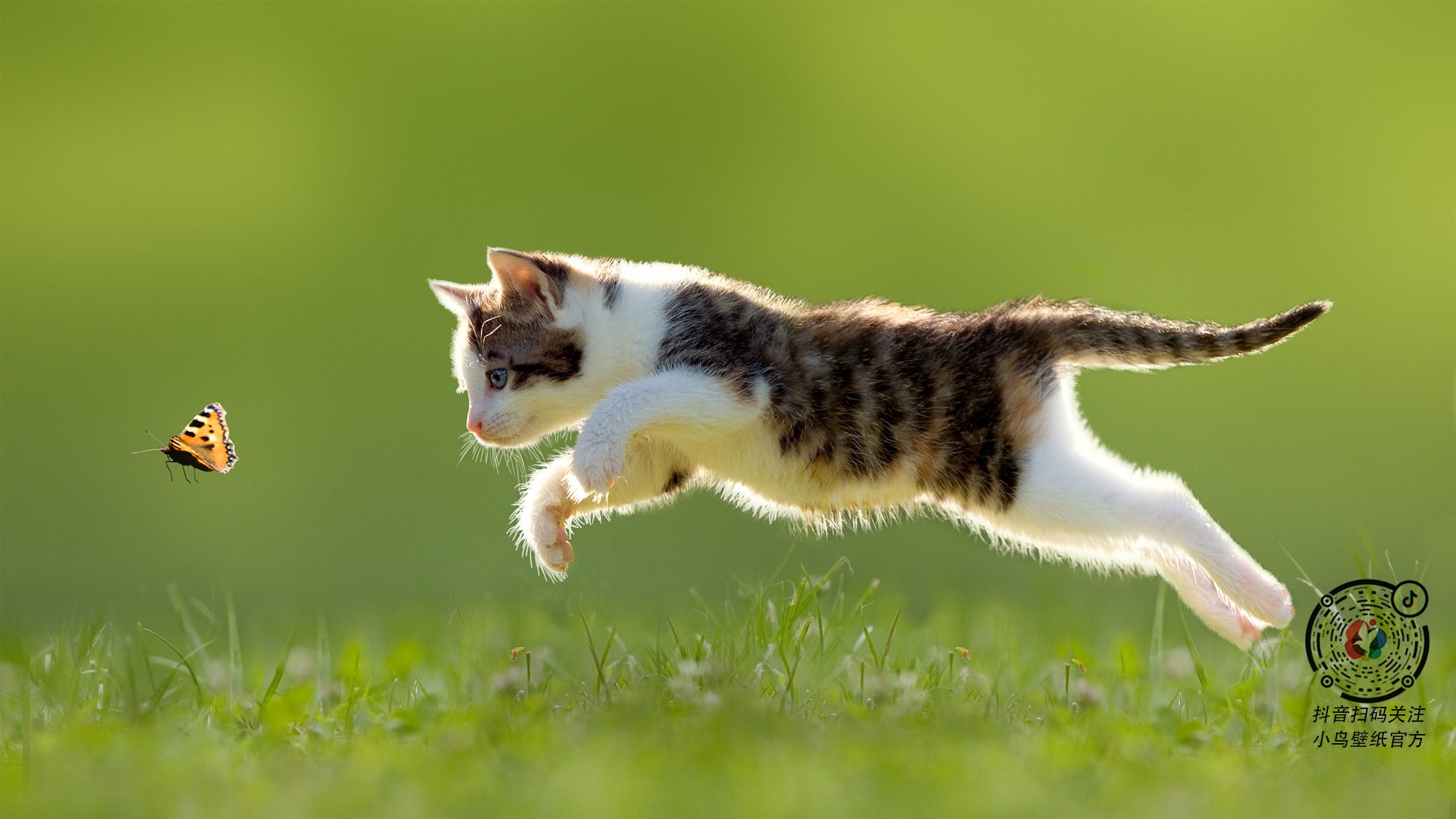 奥运前哨战，广厦铁血防守锁定胜局，全面压制昭示男篮新希望